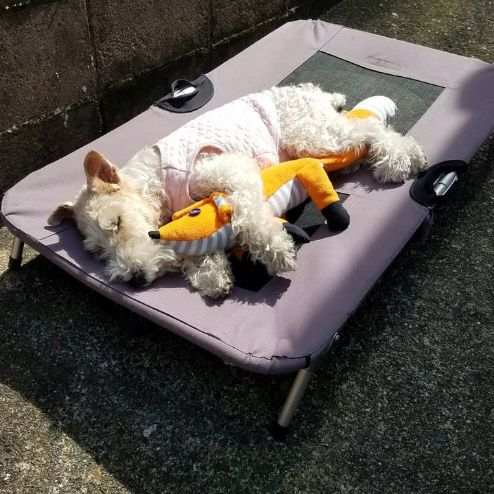 953e3d6e 351b 4ce7 92a5 43a4a68e6da9