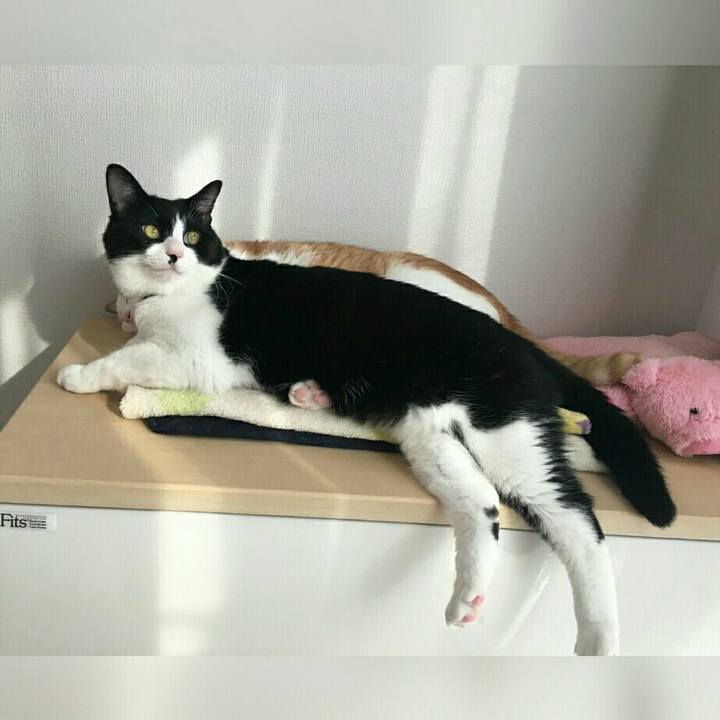 953e4bae debc 45b0 b510 2c90098b451a