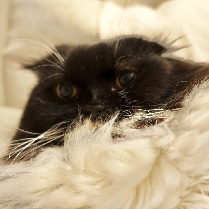 953e6dbc d5ee 499a 8ef3 6387f969c272