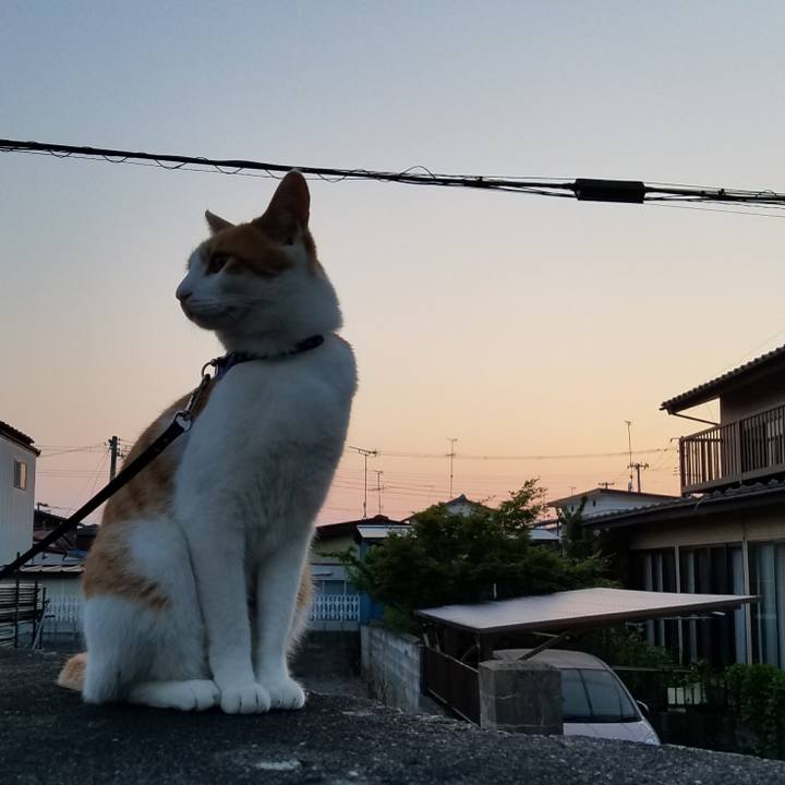 953f0c16 4f2e 4912 aa9d bb4c9bf9a980