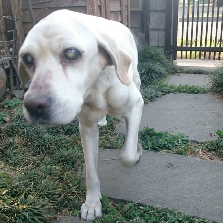 953f4f80 6bc7 4cc0 aae9 a82a6498785e