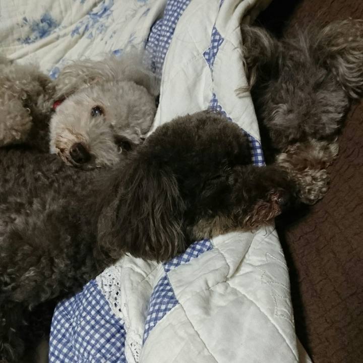 95403996 b316 438a b47a 2bd65a90d8cf