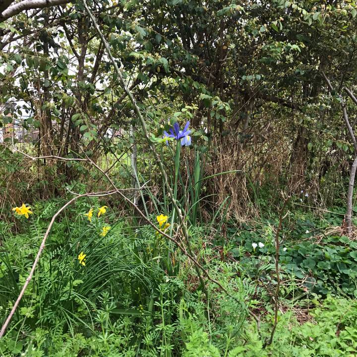 95408176 9e93 47da 901b 383064e9a518