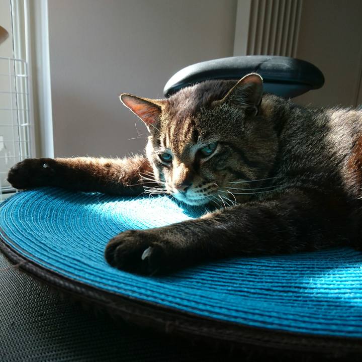 95409eb2 708a 4242 b1d3 76a65d843f7d