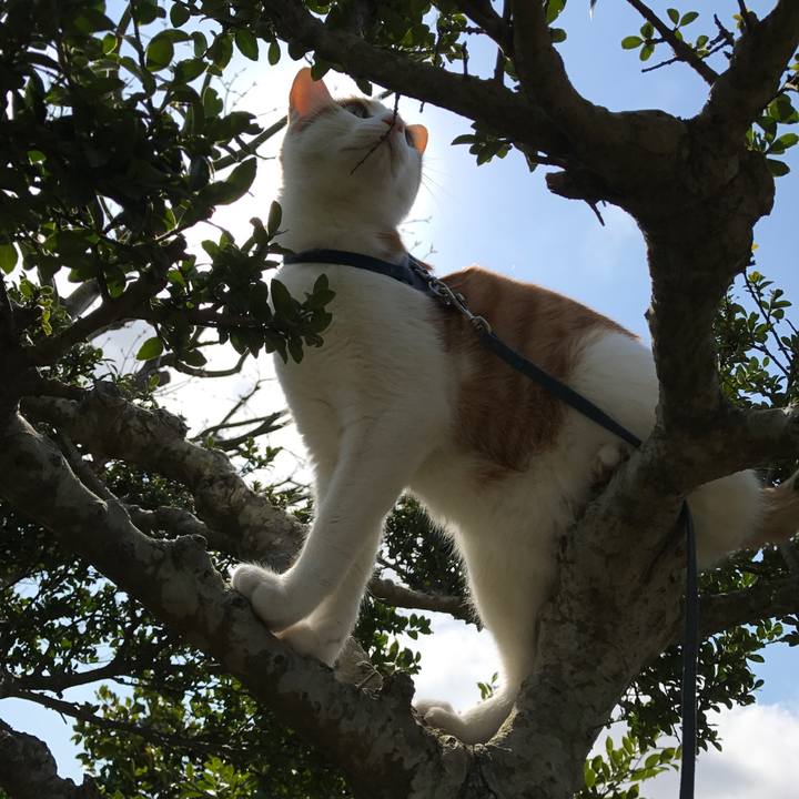 95415426 d78e 4cf2 9c3f b9a6ddf515d1