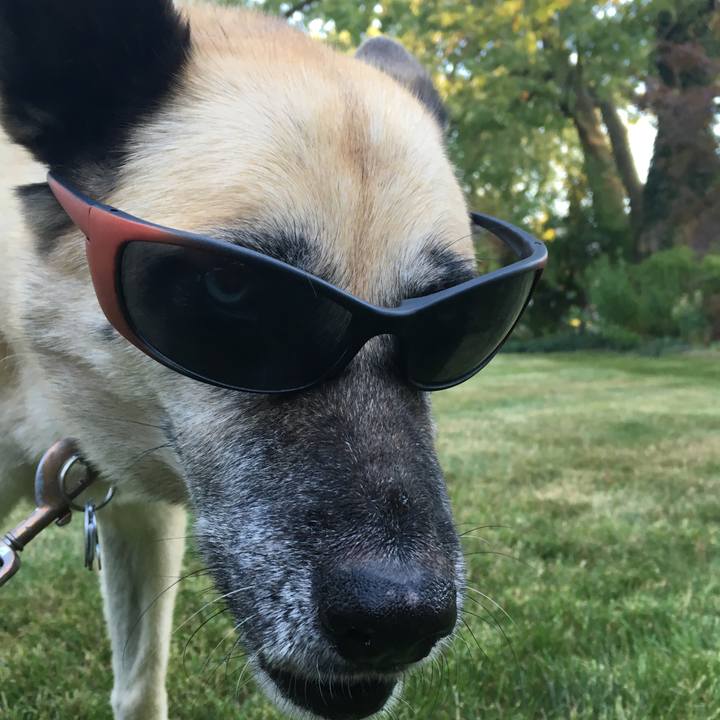 95415727 7fad 4a1d bc34 37b075a92c68