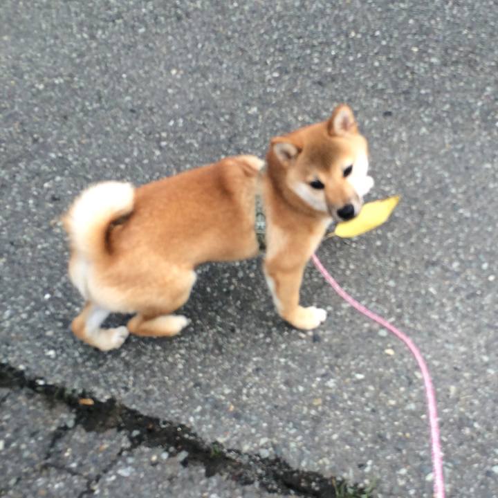 9541c691 c180 434c ab1a d1732b959c37