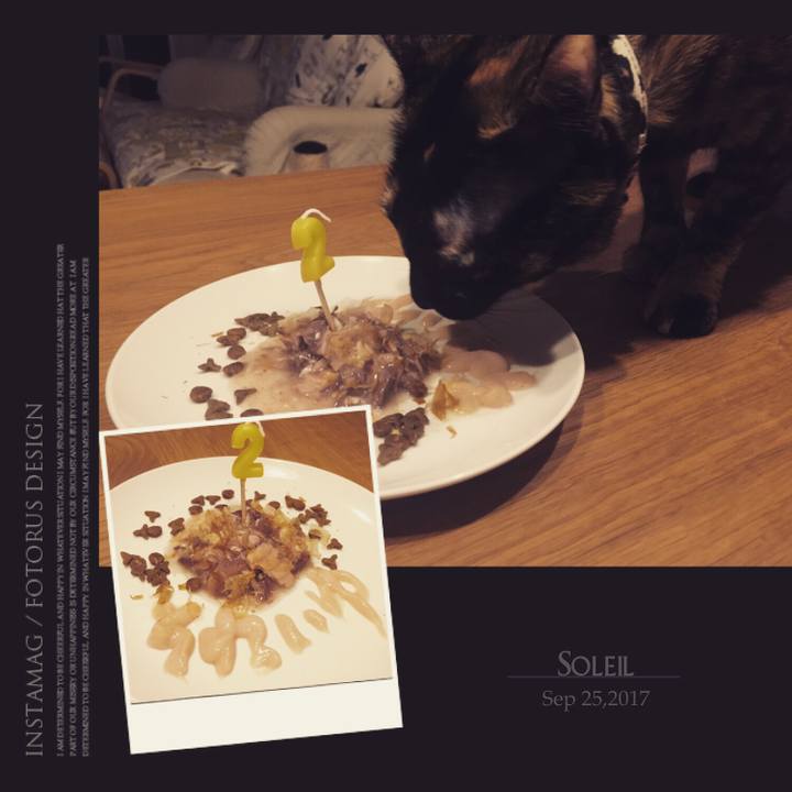 9541d13a e31a 4294 8178 c5742d52203d