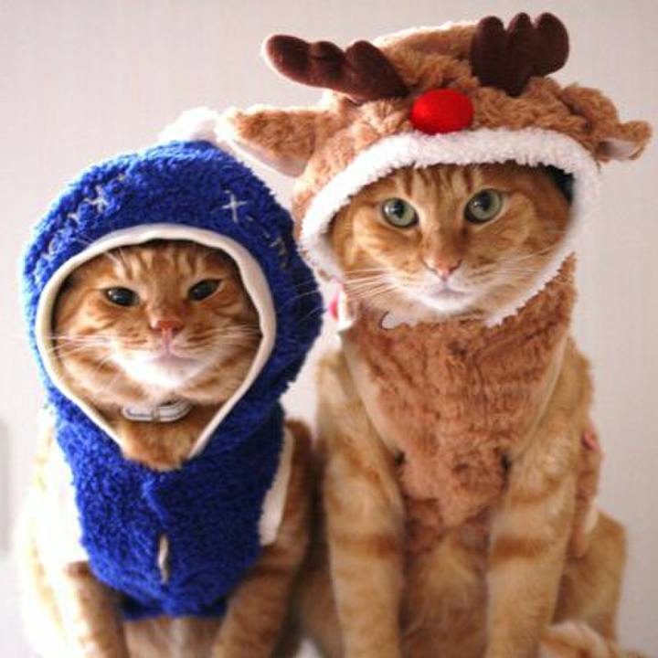 9541ef6b 78d2 4738 8f34 3c30498acd46