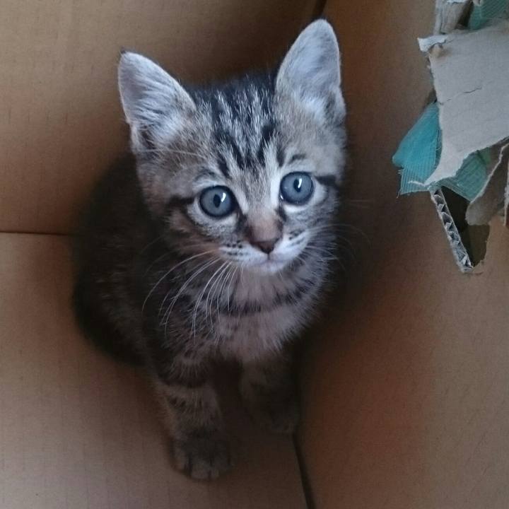 95420a3b e6c7 40be 8e24 17b7570a14f9