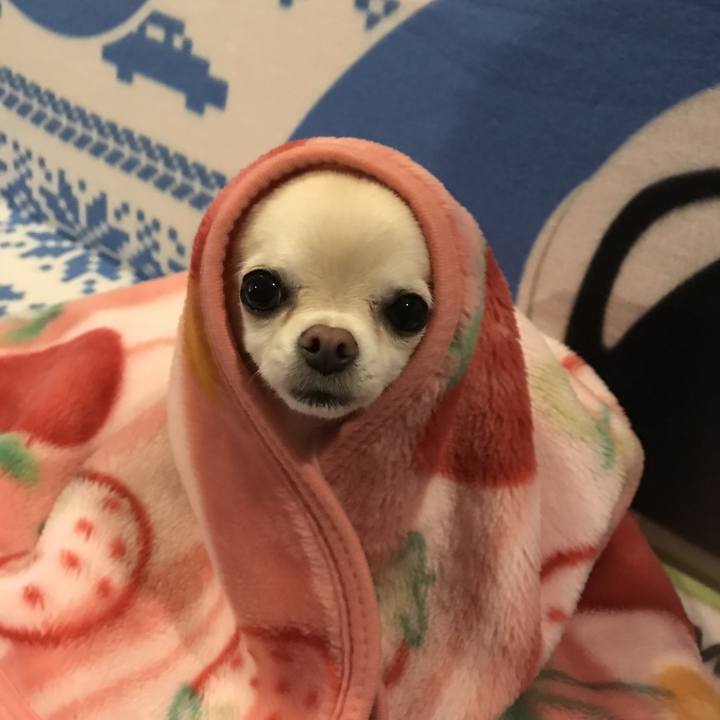 954269e8 298f 4ae2 8a6c dbf82e4bc71a