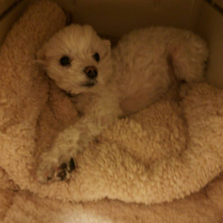 9542a9db 2253 4a73 bfa6 59497b390a19