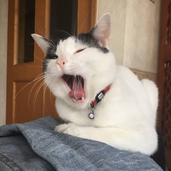 9542b56a 834d 42ea bac4 05d5ad6f9fb6