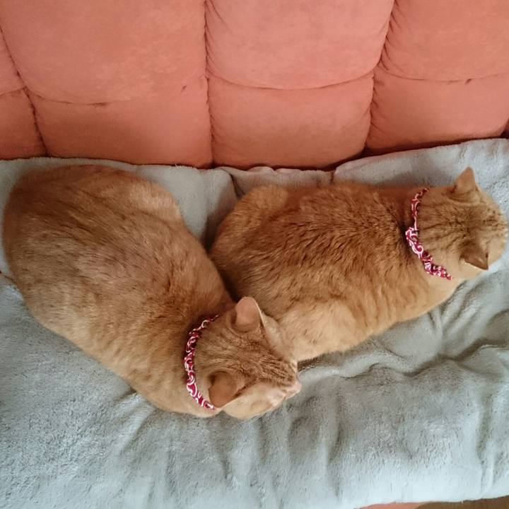 9542f9b3 720d 4265 9671 d83f6a09e04b