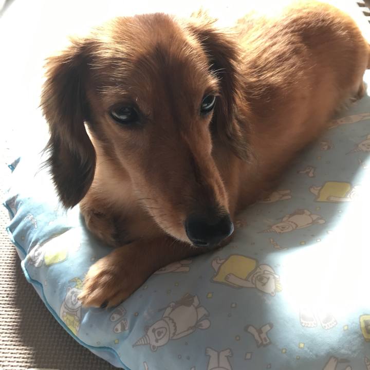 9543cacc 84ab 452f 8916 ade52d5c187c