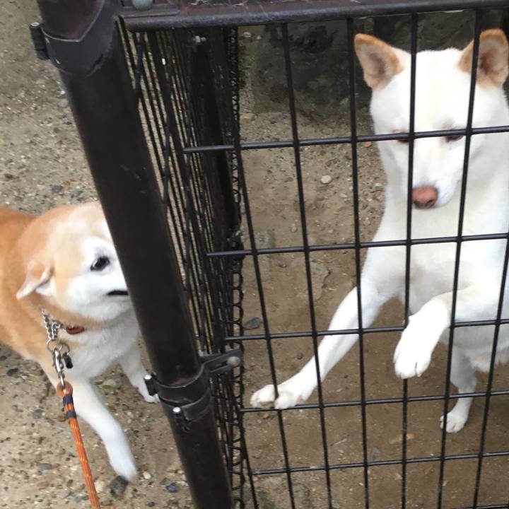 95447a87 6c2f 41b1 ae0d b49230086b94