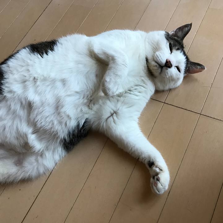 9545fe80 8c22 433a 860f 4cb993674c70