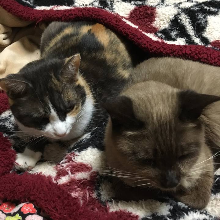 9546a975 f71a 4842 aed6 5a90ff24f0a5