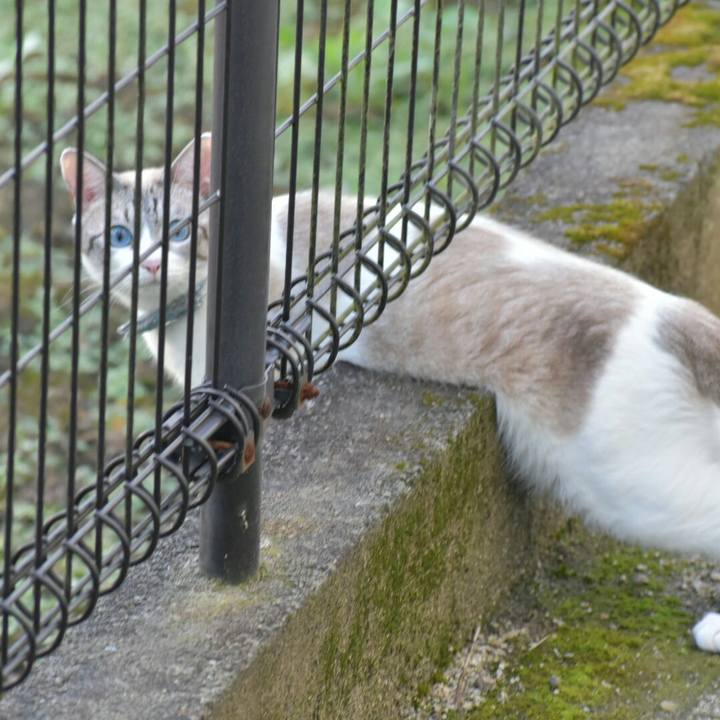 954744bc a999 438e bffd 7069602aeea2