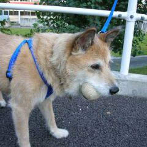 9547d275 dc1d 43d5 a1e7 9b0935362f61