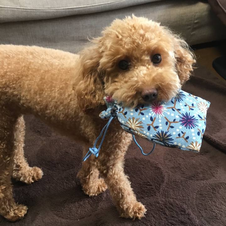 9548128b df9d 46b2 9b53 1d19686c24b7