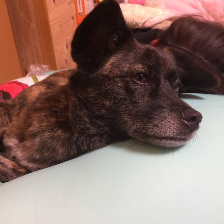 95487924 e7e1 42e3 b198 037b6f01f484