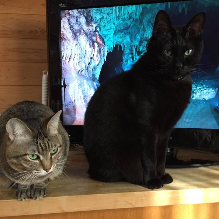 954899a1 a126 4d2d bfc9 d6f84449fbef