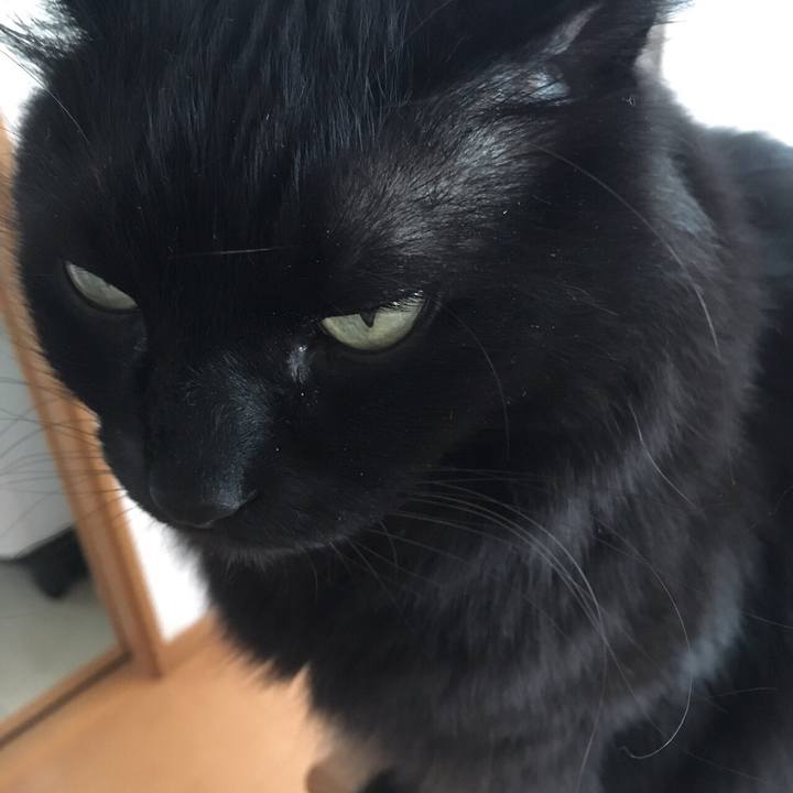 95491940 e103 42cf 9a27 e634a50855f3