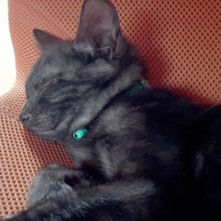 954928f5 53e1 4109 85c7 75bd40d0b167