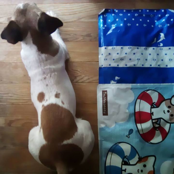 95495758 bb50 402b a60b e95b79b7e88b