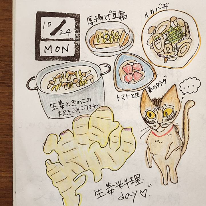 954a2675 0ad1 47de 8494 6233e32f93f5