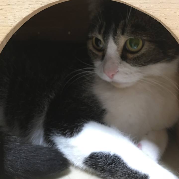 954ab301 e256 4835 b8d5 2cddd3914843