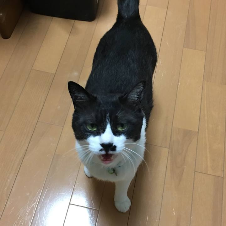 954b1d13 edb1 4d78 b74f 976558b1da44