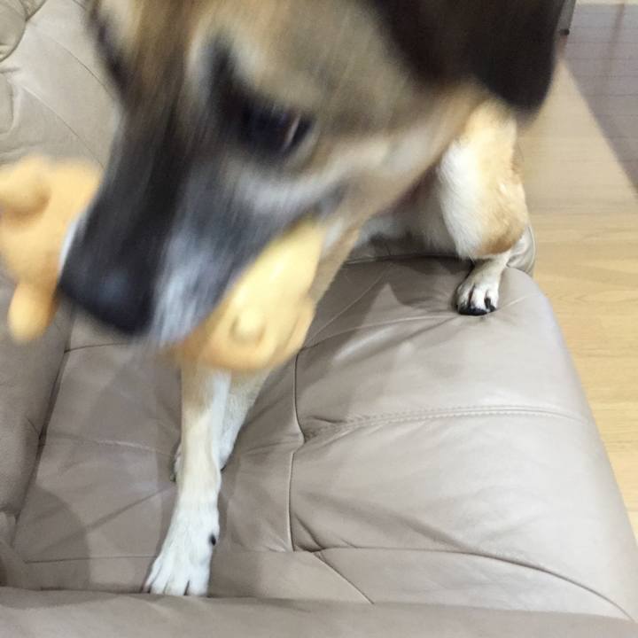 954b3ac8 7602 4a26 82a6 7c51ea50fef6