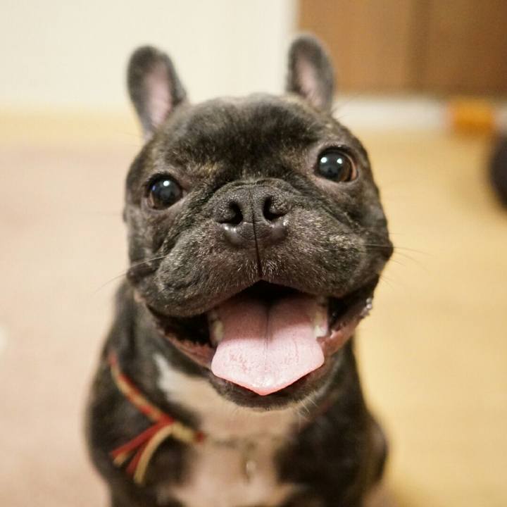 954b98be 3e15 40e7 9871 cf36d808ad07