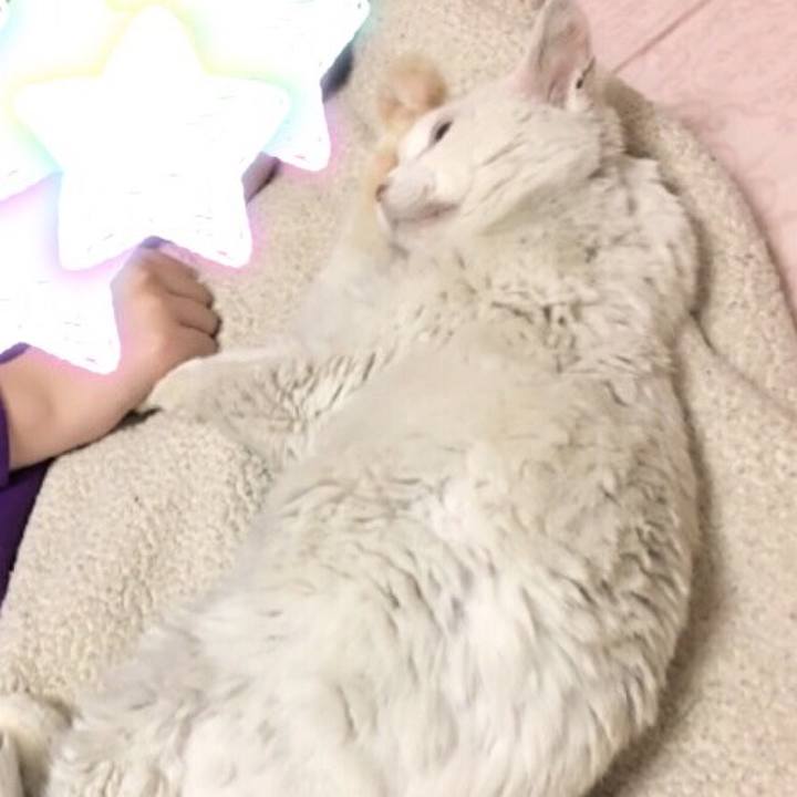 954bd38a 02bc 4db3 b35c 39918acfbf40