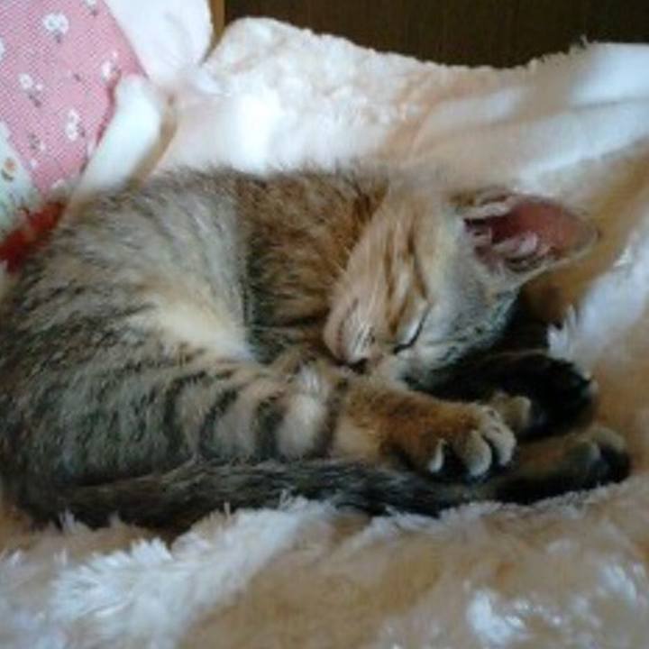 954c361d 516f 482e 8ced c8477e1d0887