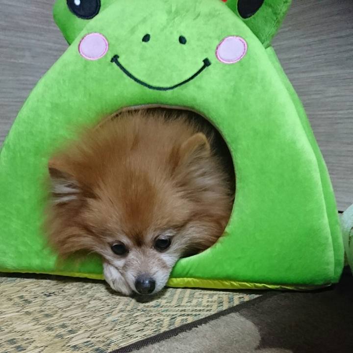 954c3f06 0a2f 4402 9990 01204eaaeff7