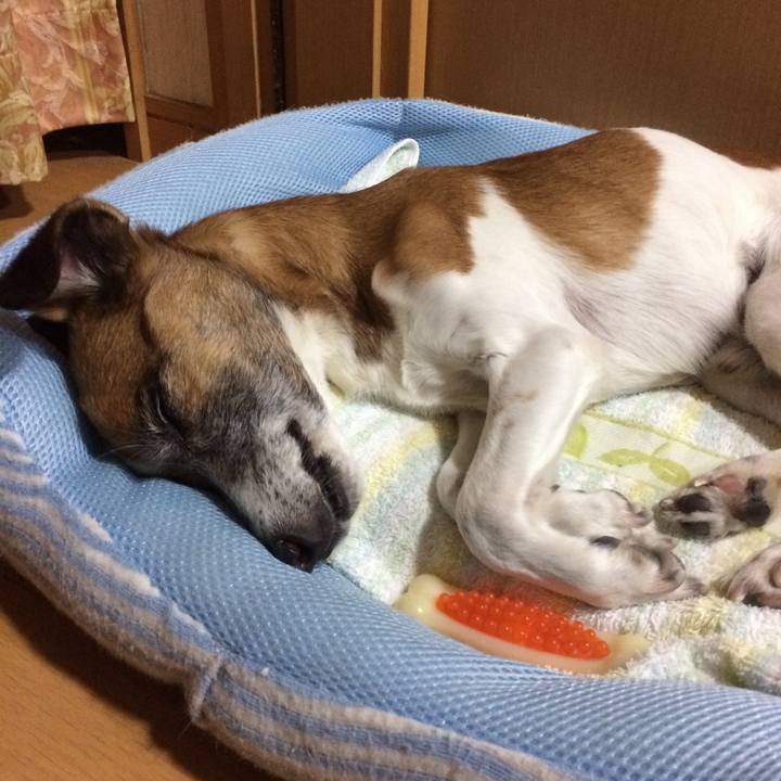 954d2aea a7d3 4657 a651 695fed7d0ada