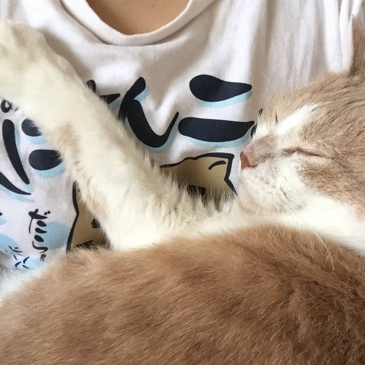 954d4f5a a0d2 4a48 ad2c 4f39ae66529e