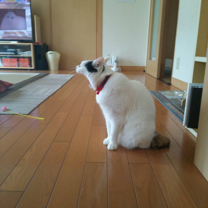 954d8d8a 1ac1 4b85 b4c0 4cd016d72216