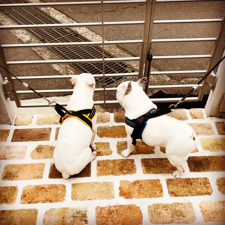 954e29b5 9b85 4e2a bb66 200283d54b56