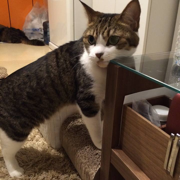 954f1880 a1d3 445f 845b 244d75fb2ee8