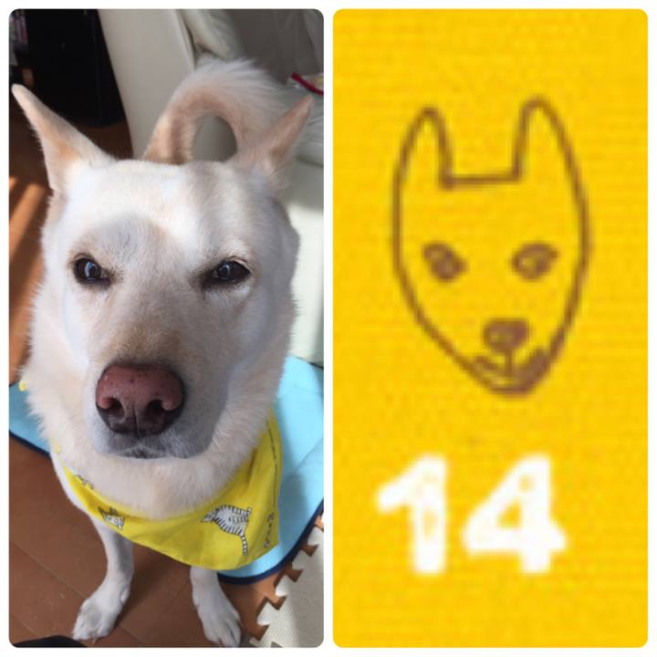 954f7eae 4797 49e0 b24f 10d867709253