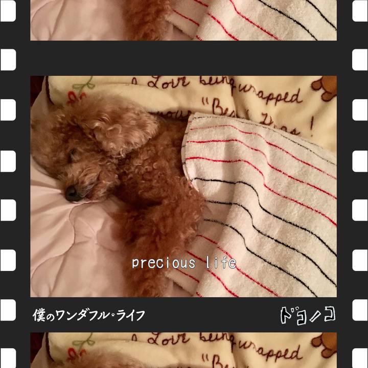 95507e8b aa3e 43a2 ae3e 6cd57fab366f