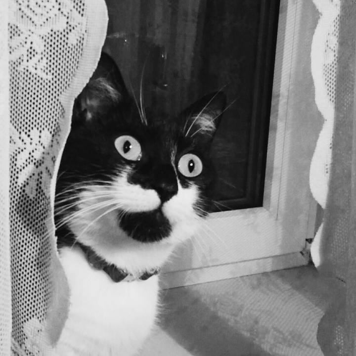 9550d1a2 726a 47e3 8c3f e488dc77482d