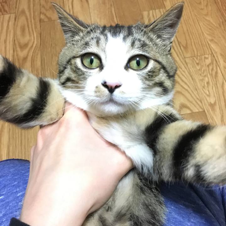 955131be c5e2 4a24 8611 2f7b8ca9c72d