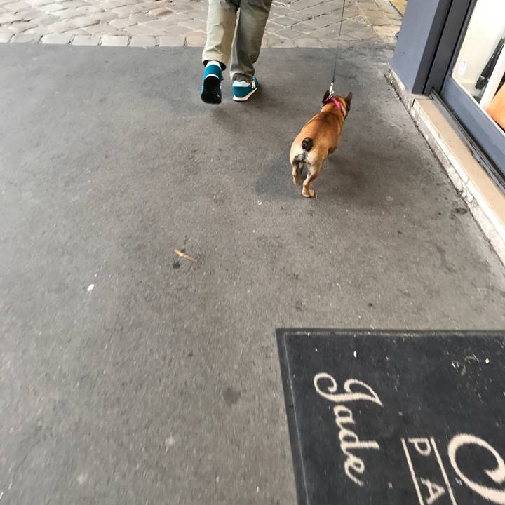 955170a4 c11e 47e6 a1cd e798b29fddcc