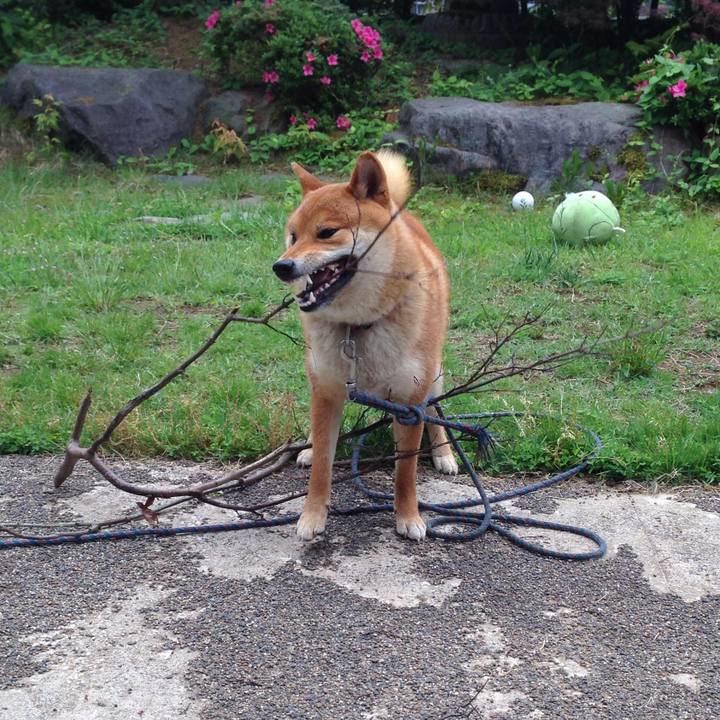 95526149 1cc0 4ac7 8561 f1e1ef5a5c5c