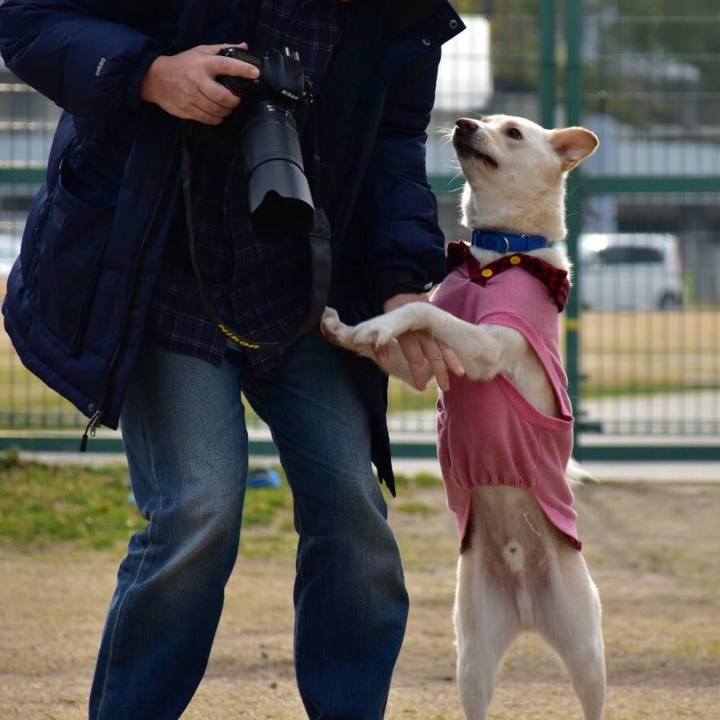 9552bad1 a35f 4181 9791 700d37f596d6